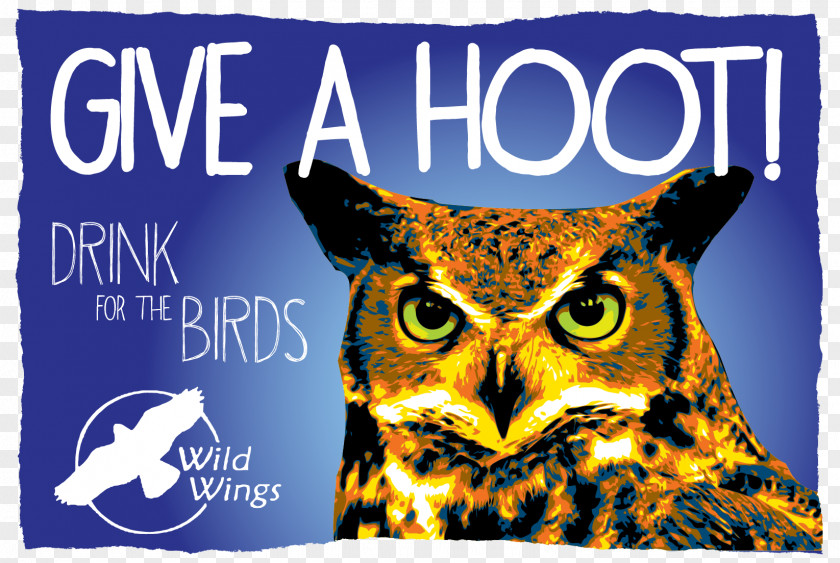 Hoot True Owl Eastern Screech Great Grey Animal PNG