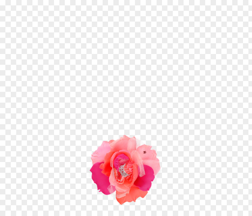 Pink M Cut Flowers Petal PNG