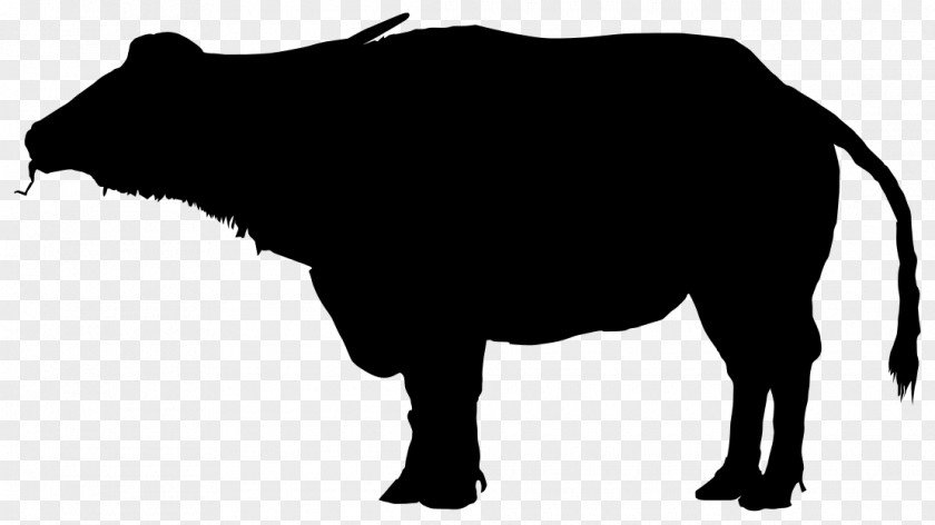 Silhouette Water Buffalo American Bison Drawing PNG
