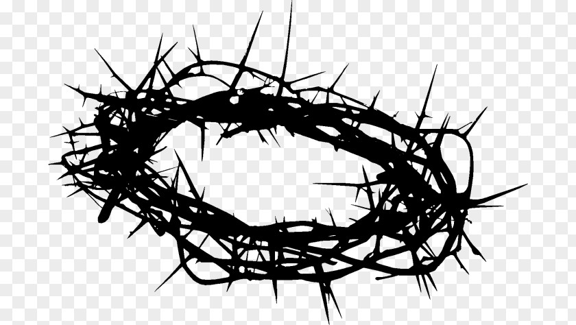 Crown Of Thorns Clip Art Image Christian Cross Prince The Sun PNG