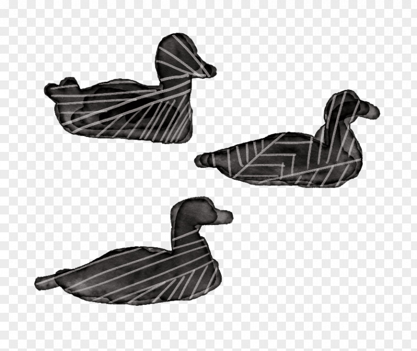 Duck Goose Feather Beak PNG