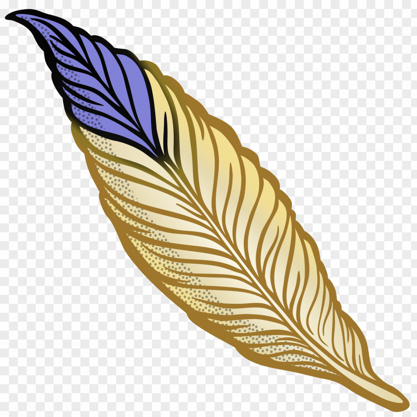 Feather Bird Quill Clip Art PNG