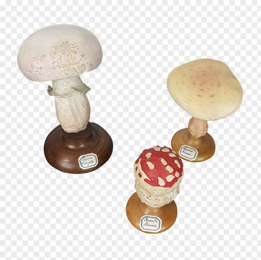 Fungi Mushroom PNG