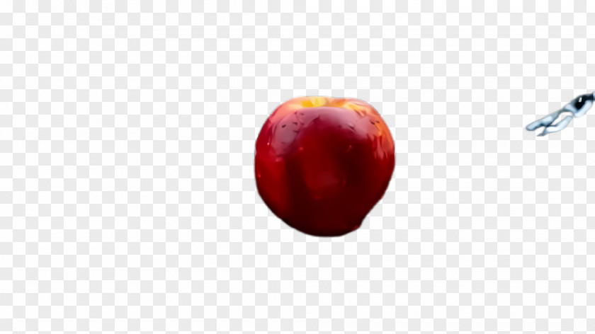 Plum Accessory Fruit Red Plant Apple Tree PNG