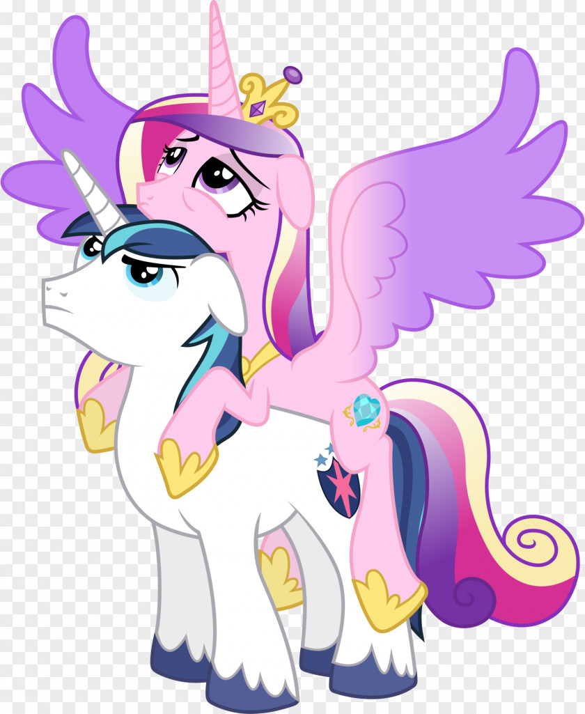 Princess Vector Cadance Twilight Sparkle Shining Armor YouTube A Canterlot Wedding PNG