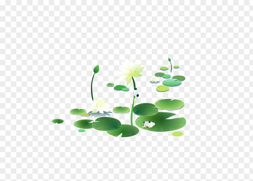 Sacred Lotus Image Design Clip Art PNG
