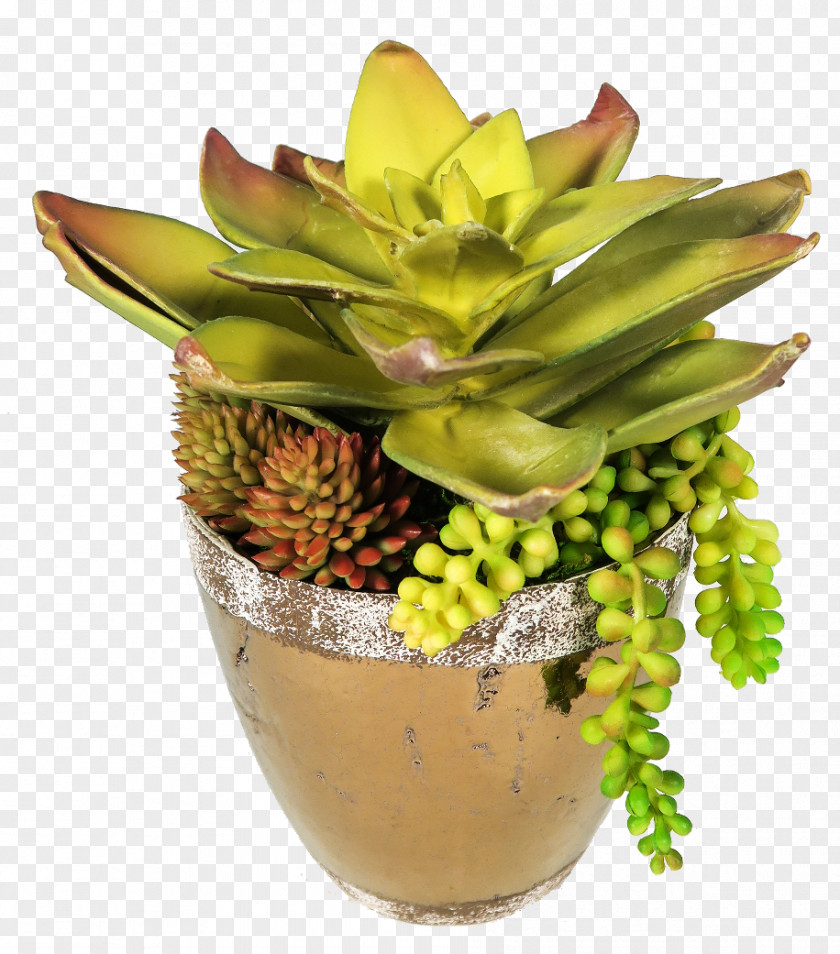Design Floral Flowerpot Fruit PNG