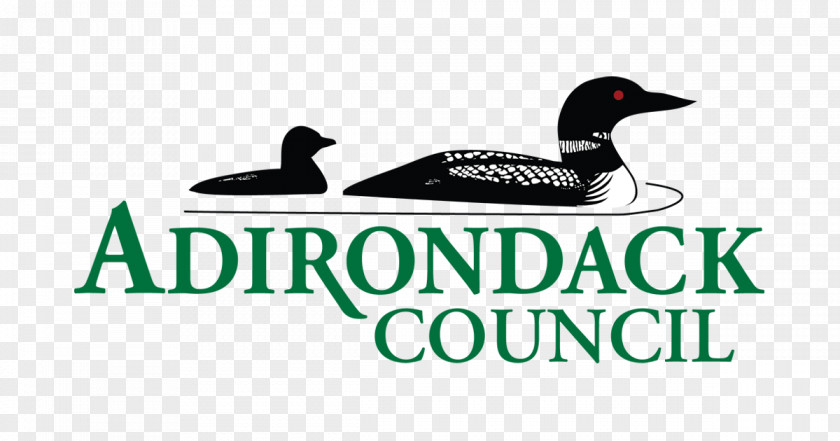 Duck Adirondack Council Logo Advertising Brand PNG