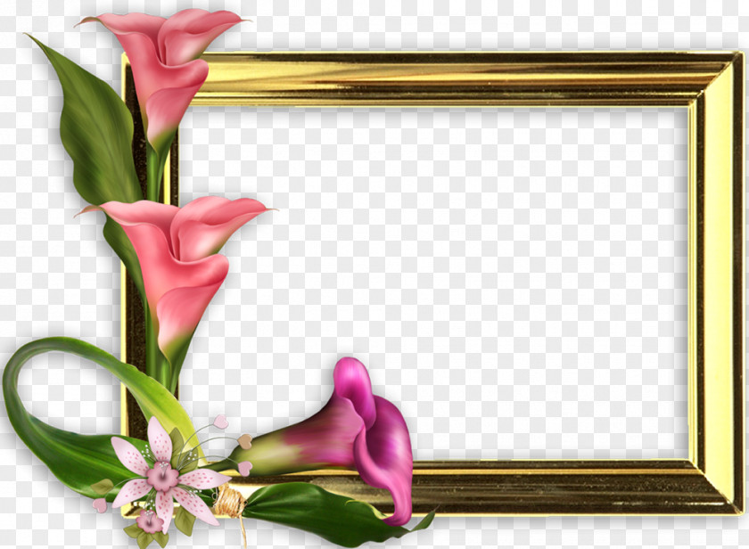 Mother's Day International Women's Woman Picture Frames PNG