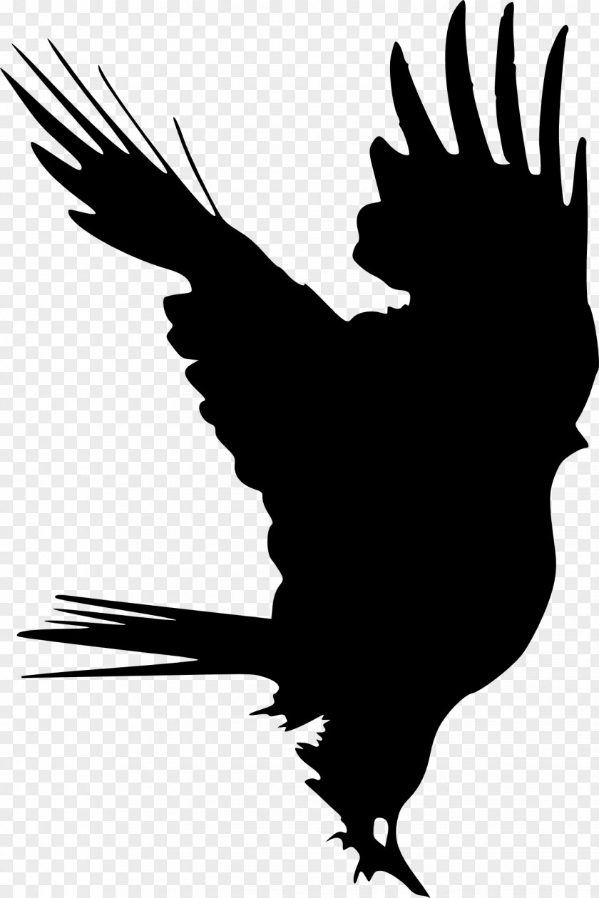 Bird Silhouette Clip Art PNG