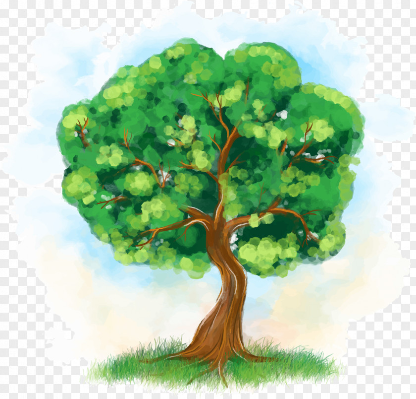 European Oil Painting Spring Tree Sereu010f Bxfdvalxe1 Botanickxe1 Zxe1hrada Bratislava Slovenskxe9 Parky A Zxe1hrady PNG