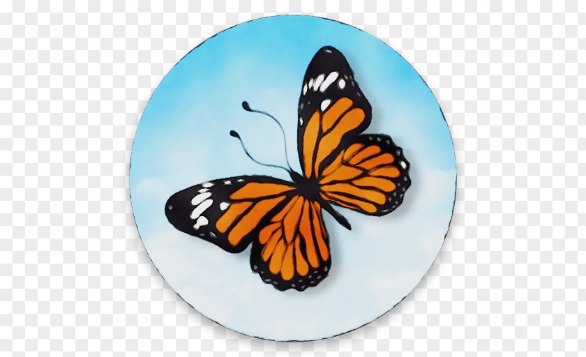 Monarch Butterfly PNG