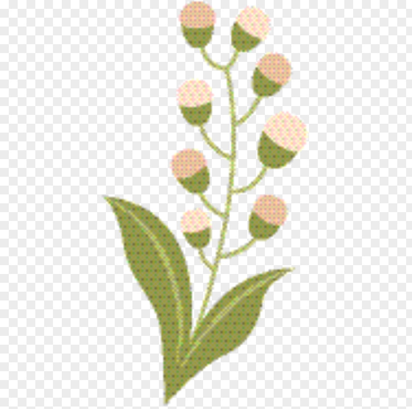 Plant Plants Flower Stem PNG