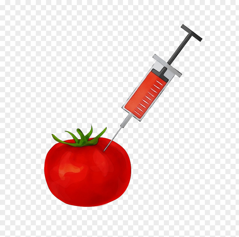Cherry Tomatoes Vegetarian Food Tomato PNG