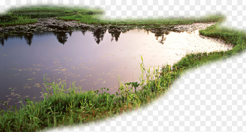 Creative Style Lakes Lake Stream PNG