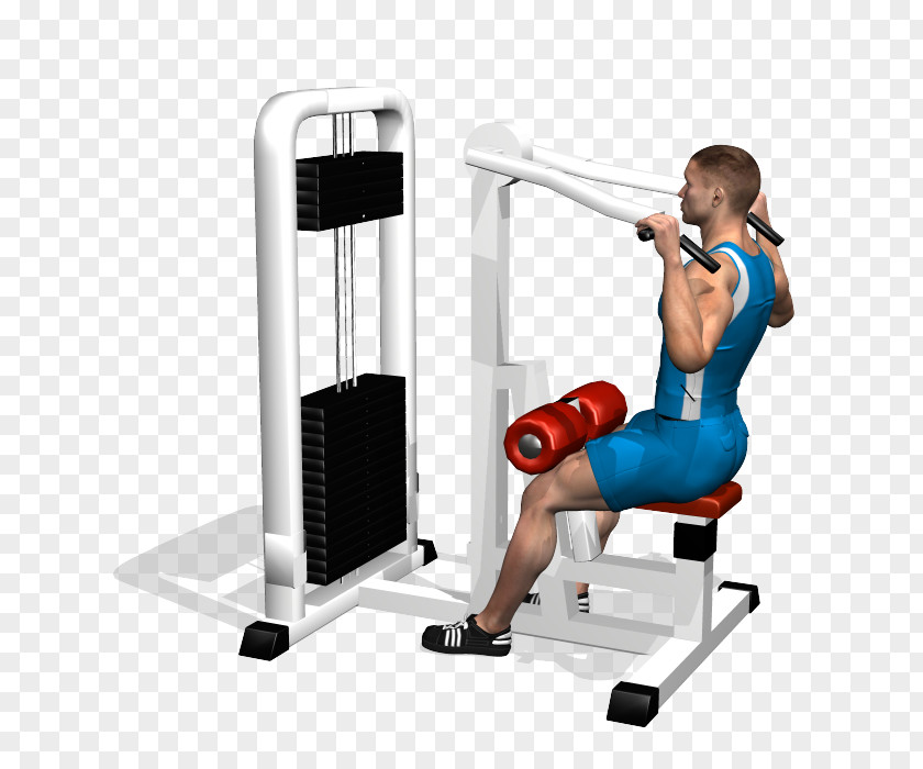 Dumbbell Pulldown Exercise Physical Fitness Human Back Shoulder PNG
