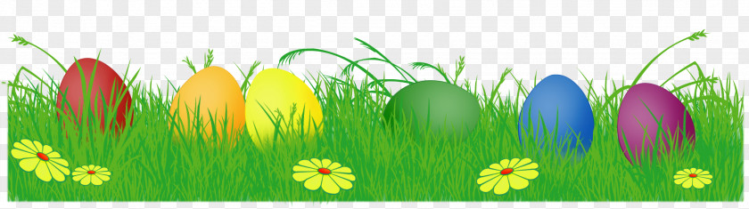 Easter Eggs In Grass Bunny Egg Clip Art PNG