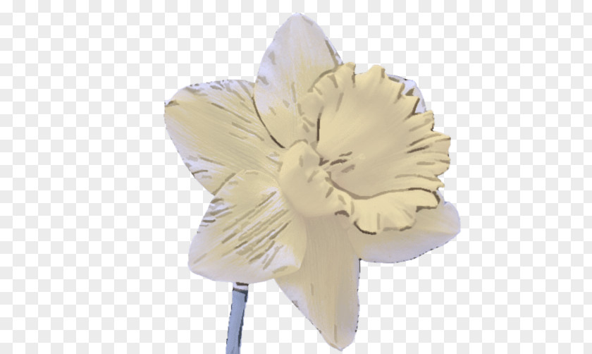 Feather Cut Flowers PNG