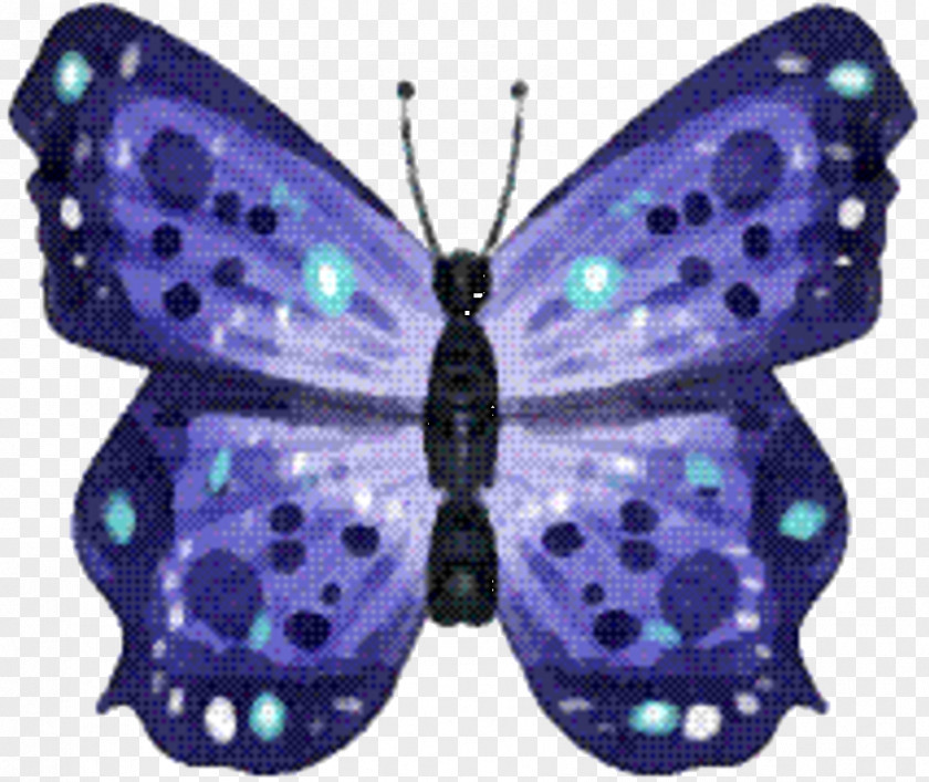 Brush-footed Butterflies Gossamer-winged Moth Purple Symmetry PNG