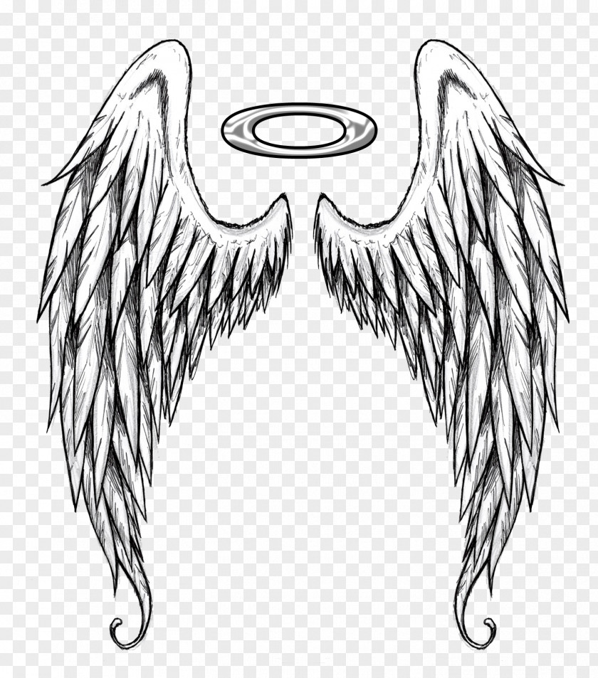 Dust Sweeping Drawing Angel Image Painting Art PNG