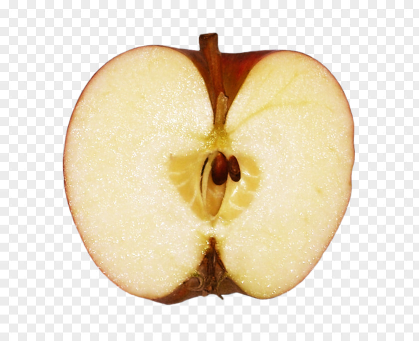 Half Apple Download PNG