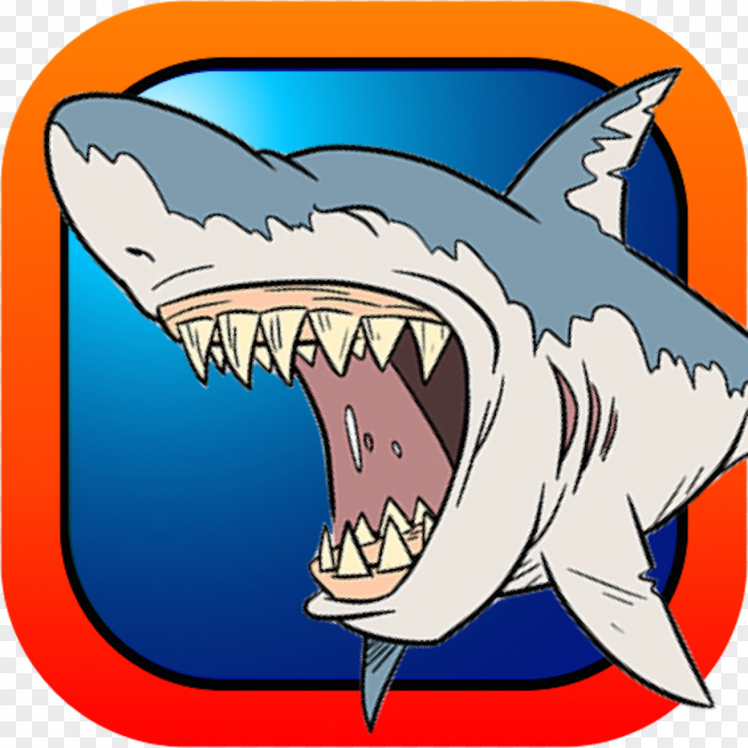 Shark Requiem Sharks Pigeon Pop Seabed PNG