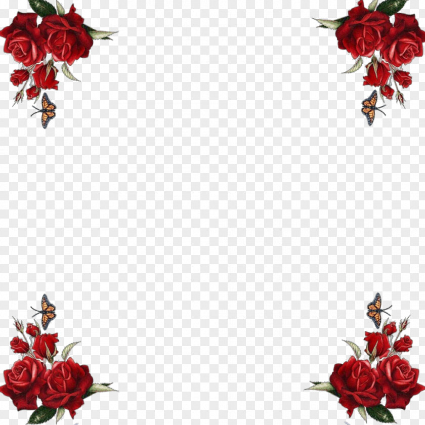 Burgundy Flowers Picture Frames Photography Flower PNG