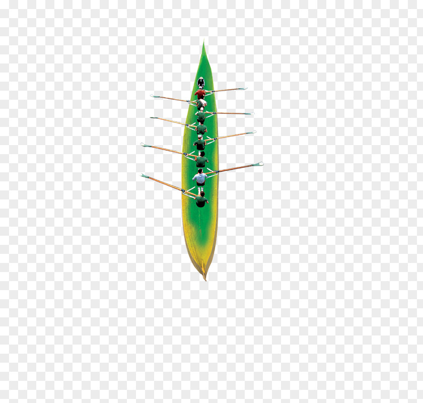 Dragon Boat Race Green PNG