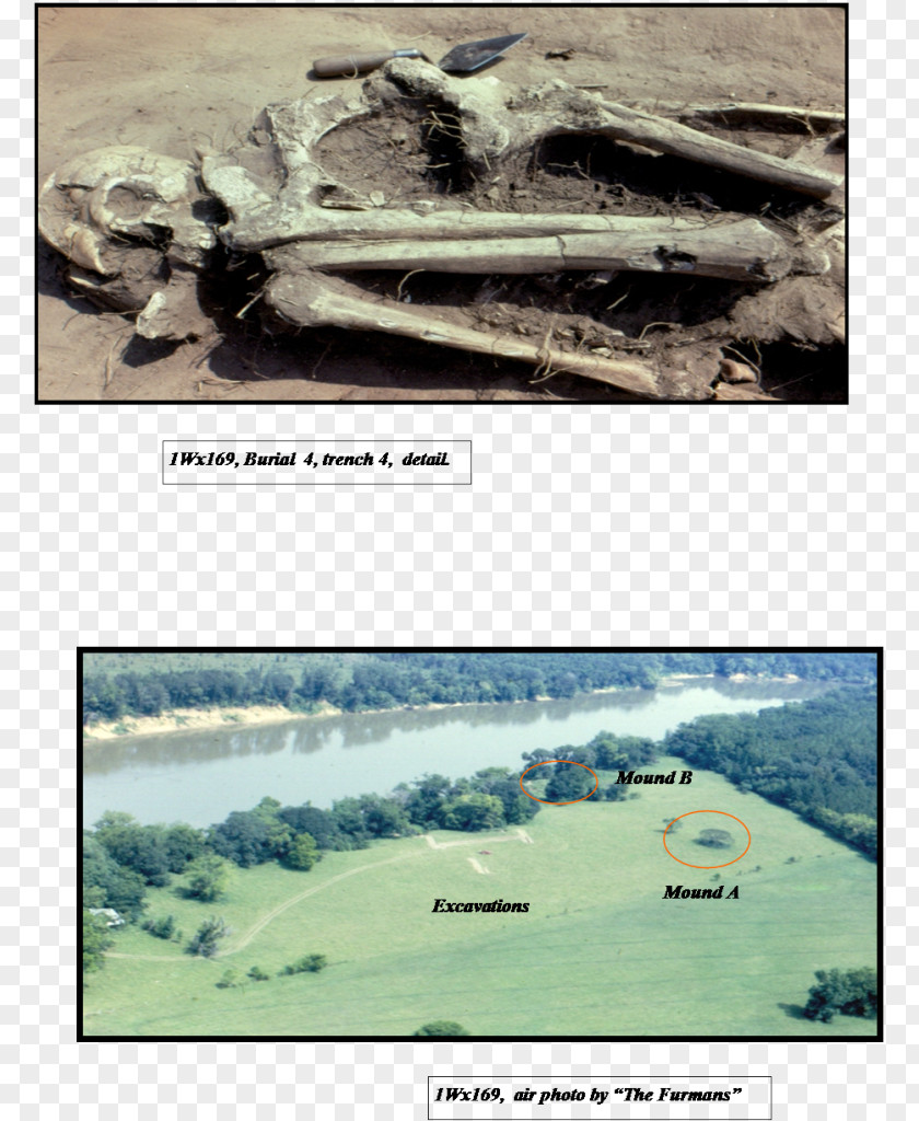 Mississippian Curren Caleb Prehistory Furman Archaeology Mound PNG