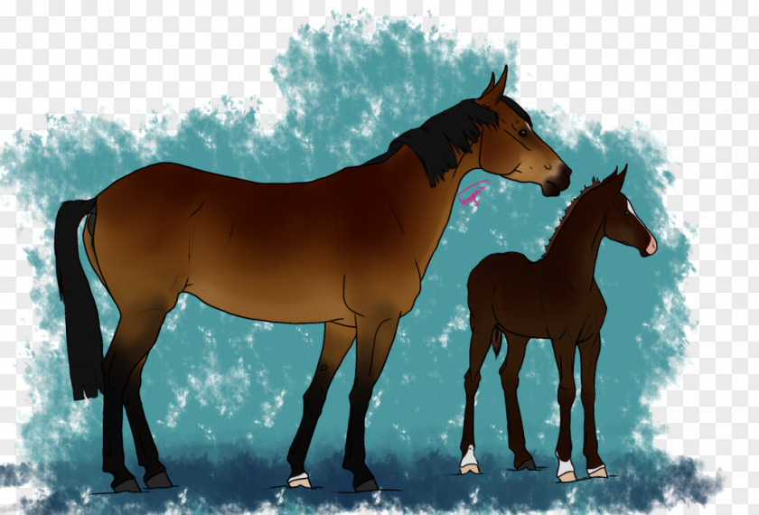 Mustang Mare Foal Stallion Rein PNG