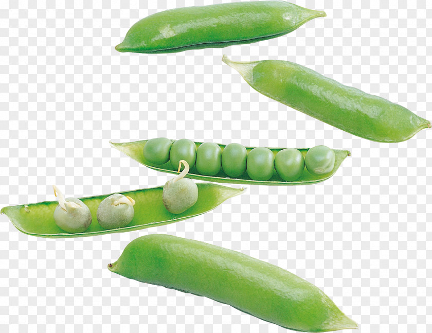 Pea Food Clip Art PNG