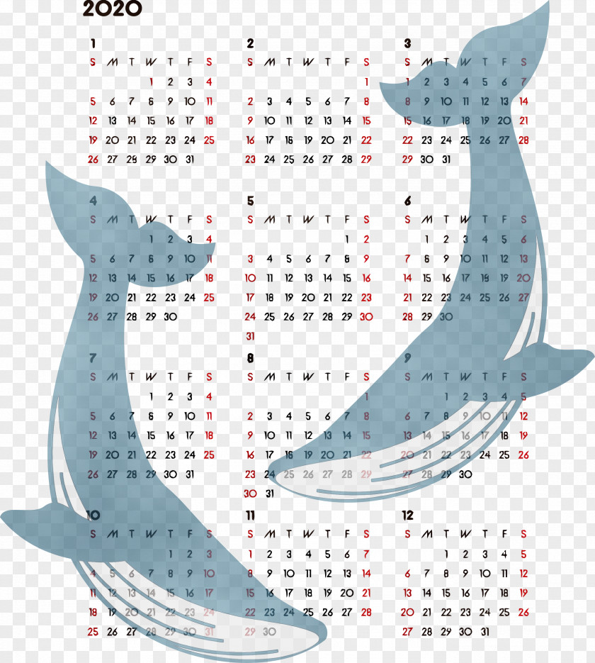 Animal Figure Fish Pattern PNG