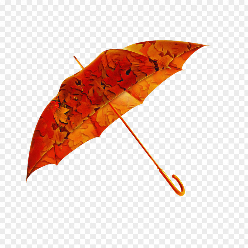 Fashion Accessory Leaf Orange PNG