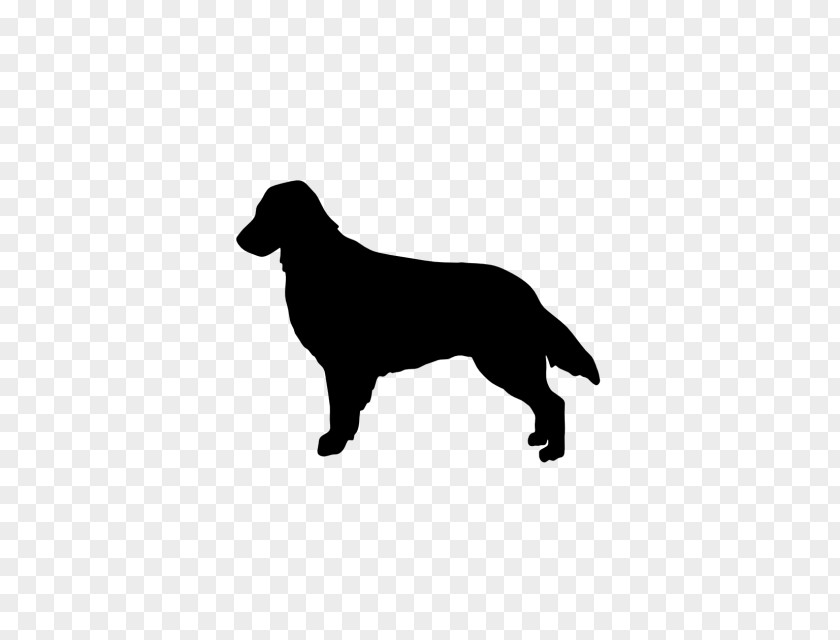 Flat Coat Retriever Rottweiler Flat-Coated Golden Border Collie Labrador PNG