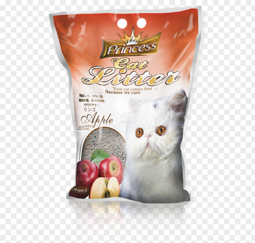 Kitten Cat Sand Food Flavor PNG