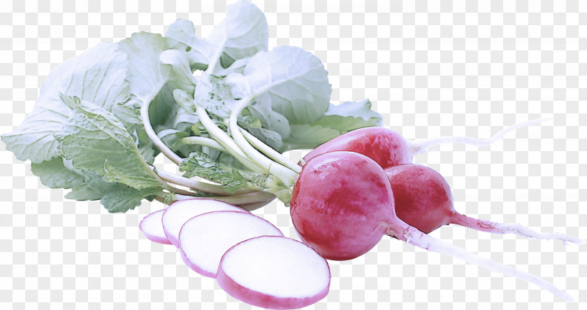 Leaf Vegetable Superfood Radish Food Turnip Plant PNG