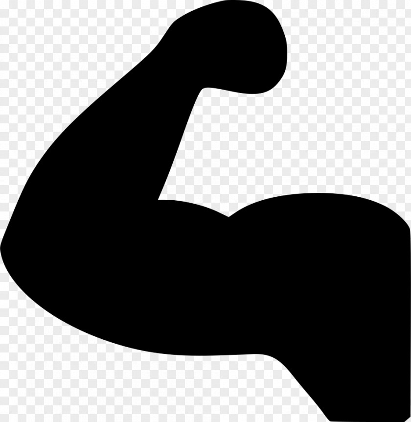 Muscles Clip Art Muscle PNG