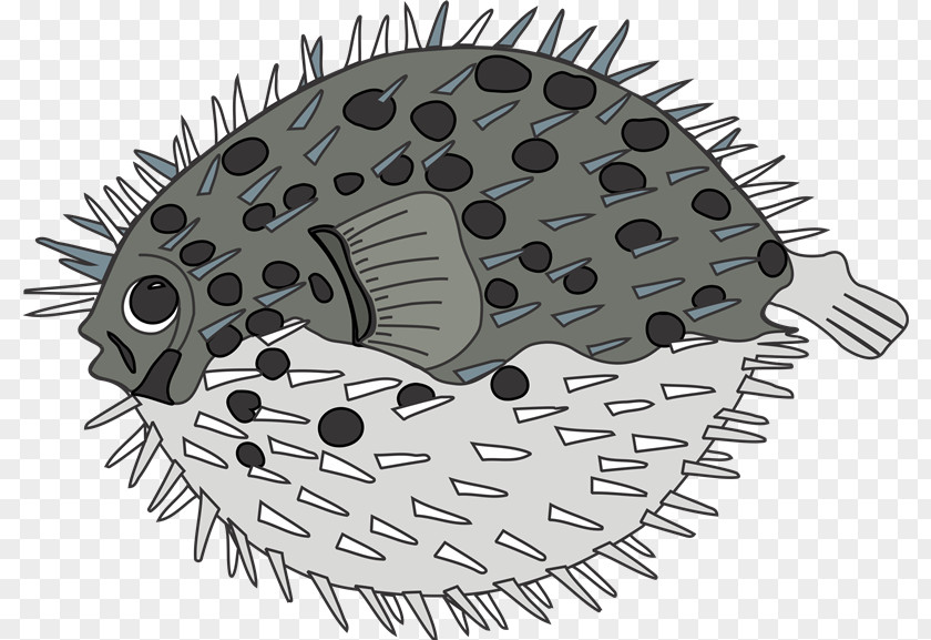 Peces Pufferfish Royalty-free PNG