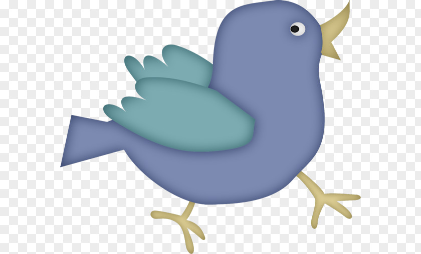 Bird Clip Art Chicken Cartoon PNG