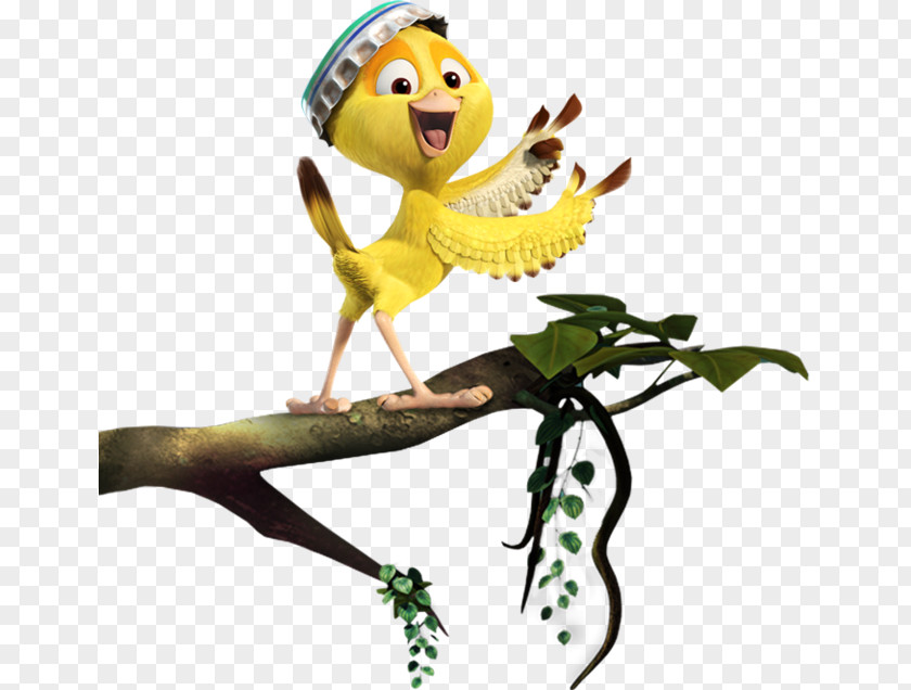 Cartoon Birds Singing Linda Bia Rio Cinema PNG