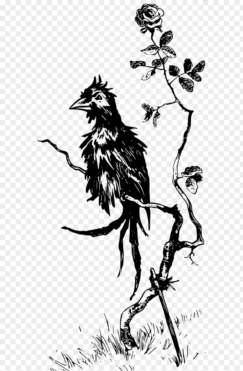 Crow Visual Arts Music Black And White PNG arts and white, crow clipart PNG
