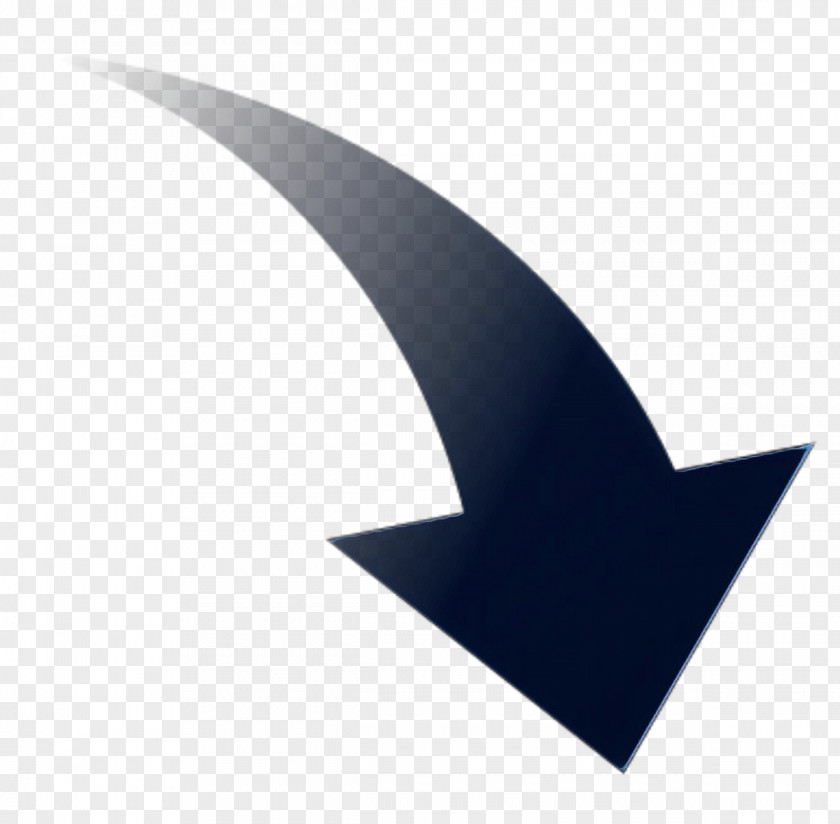 Fin Wing Line Logo PNG