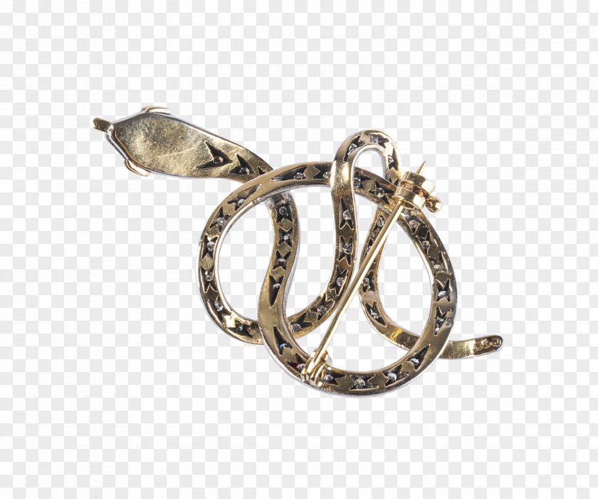 Jewellery Earring Brooch Diamond Silver PNG