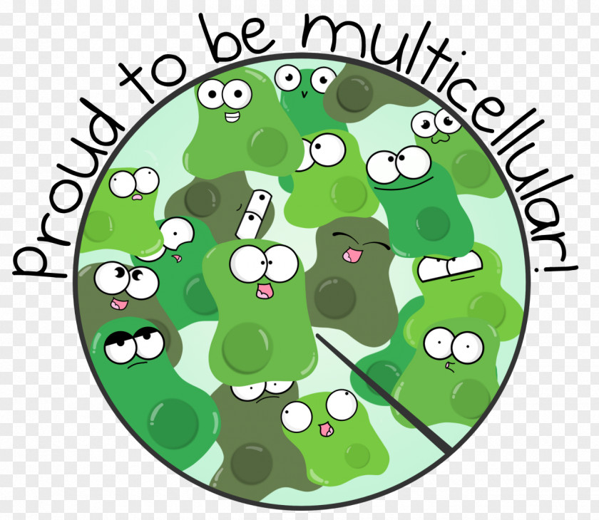 Organism Cartoon Amoeba Multicellular Drawing PNG