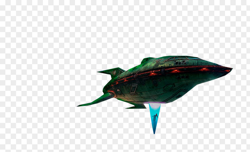 Reptile Marine Mammal Fish PNG