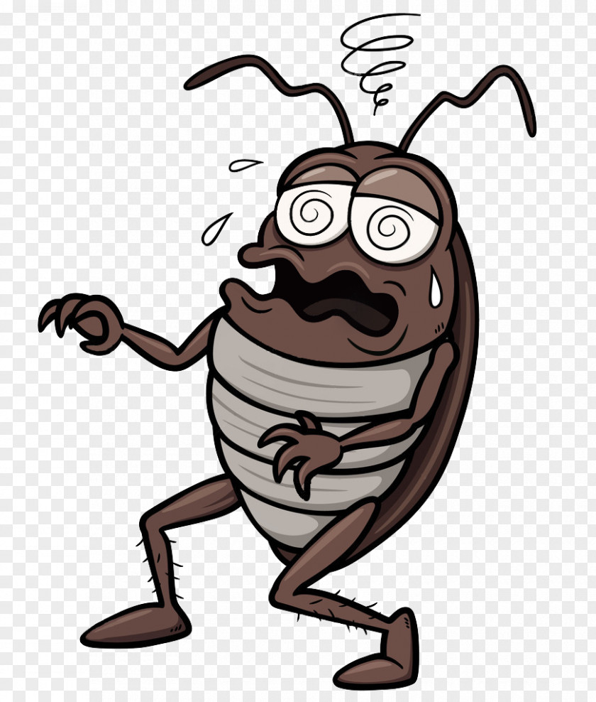 About To Faint Cockroaches Cockroach Cartoon Royalty-free Clip Art PNG