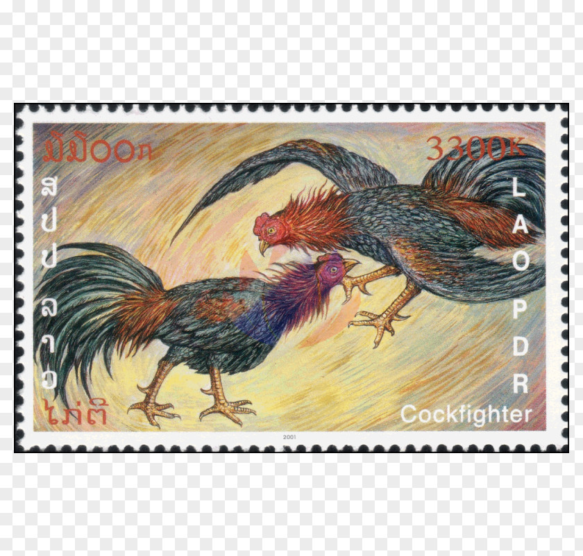 Feather Rooster Fauna Beak Chicken As Food PNG