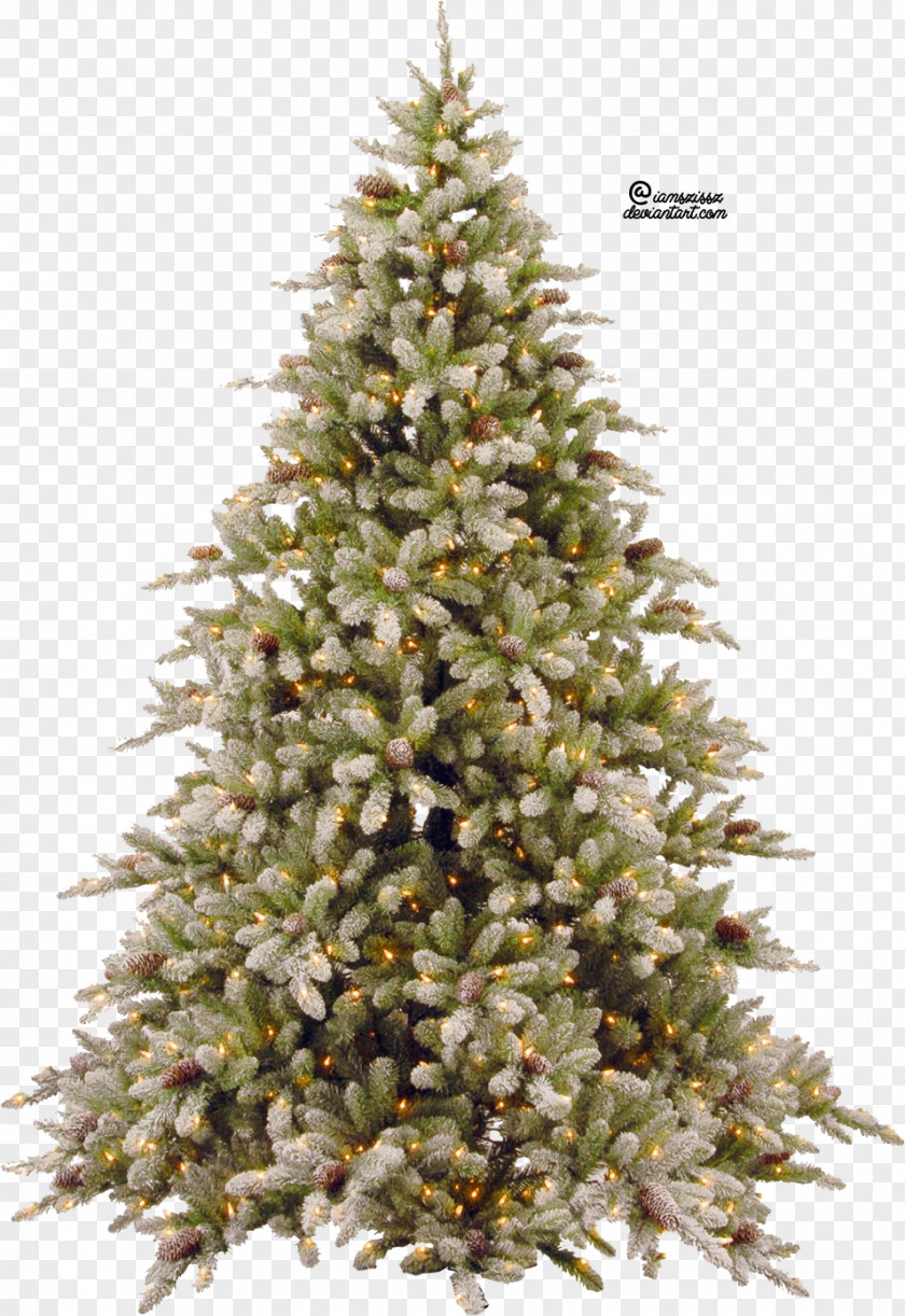 Fir-Tree Pic Christmas Tree PNG