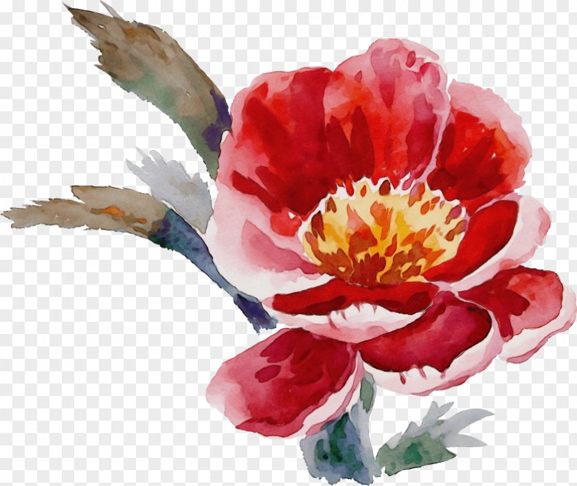 Flower Petal Watercolor Paint Plant Pink PNG