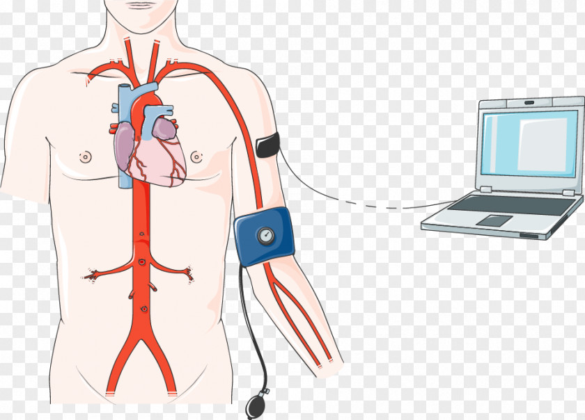 Heart Nursing Care Plan Anatomy Circulatory System Shoulder PNG